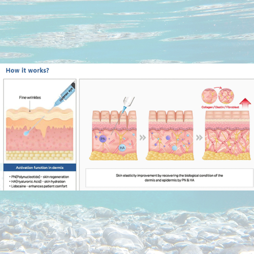 Curenex Eye PN diagram illustrating skin rejuvenation process using salmon DNA technology.