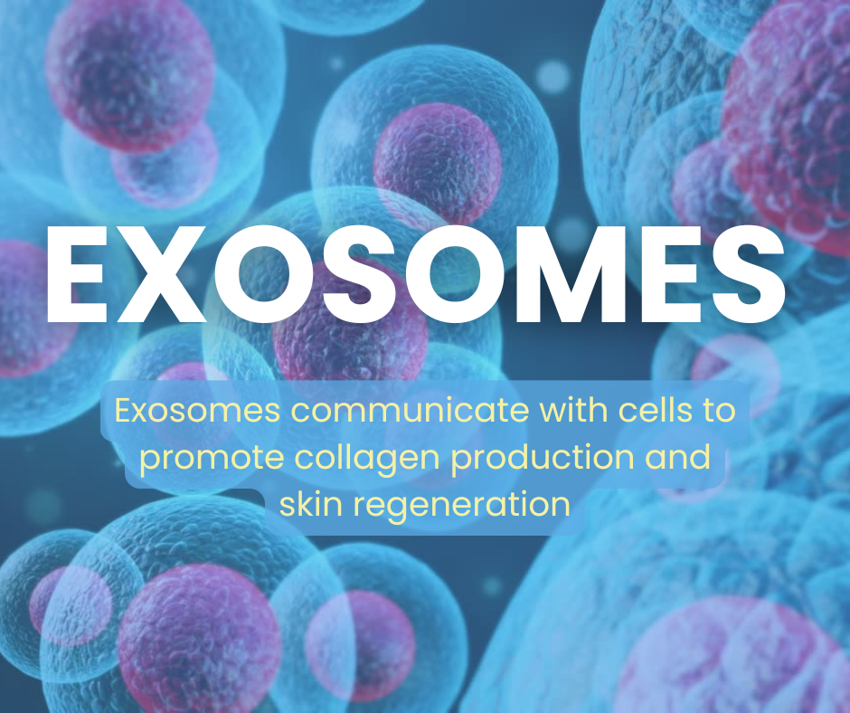 VITARAN Three Step Daily Salmon DNA Exosomes Skin Healing Bundle